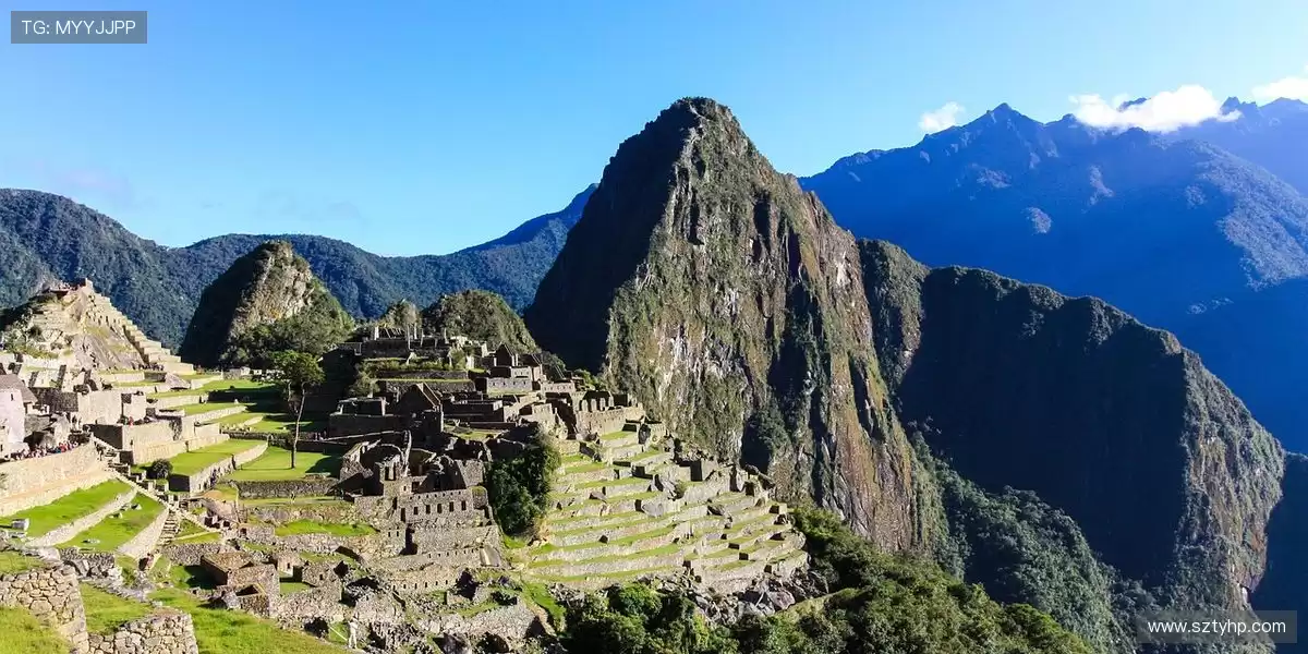 💰 作业时间大幅缩短,把握更多工程项目,利润稳步增长 📊